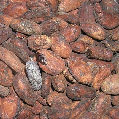 Papua New Guinea '06 - Image 1