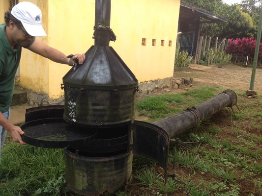 Brazil Lajedo do Ouro Farmgate 2019 - Image 4