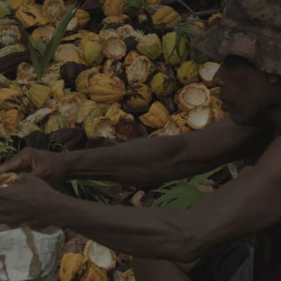 Vanuatu Malekula Island 2024 - Image 8