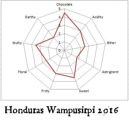 Honduras Wampusirpi 2018 Direct Trade - Image 2