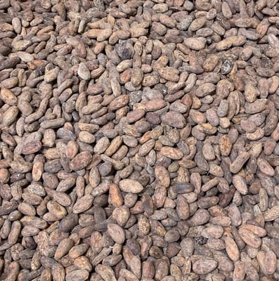 Dominican Republic - Öko Caribe 2021 Organic - Image 2