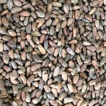 Peru - Cacao Ecologico Fundo El Triumfo Palcazu 2018