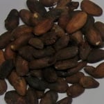 Dominican Republic Nazario Risek FT/Org- '10