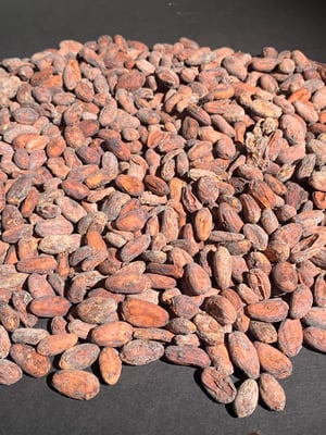 Bolivia - Wild Harvest Tranquilidad Direct Trade  2022 - Image 1