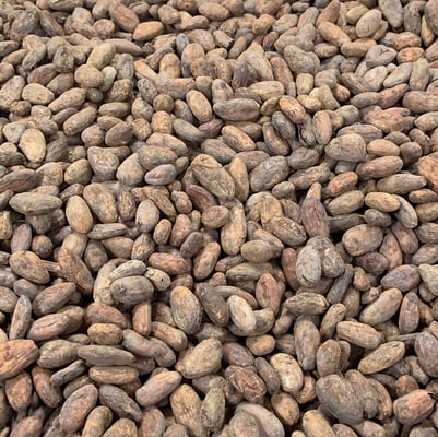 Guatemala - Chimelb - 2018 - Image 1