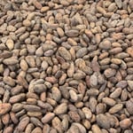 Guatemala - Chimelb - 2018