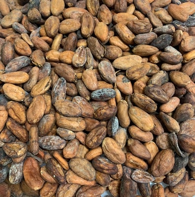 Mexican Lavados (washed / unfermented) Soconusco 2021 - Image 1