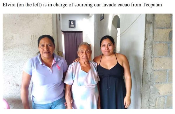 Mexican Lavados (washed / unfermented) Tecpatán 2021 - Image 2