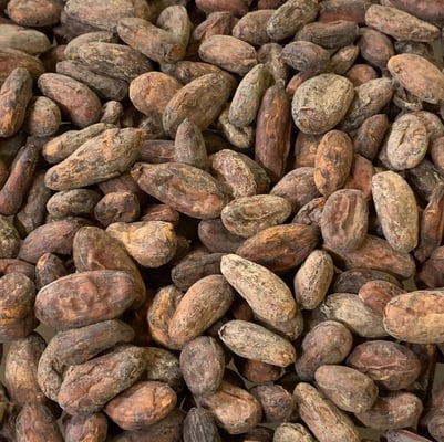 Bolivia Heirloom #1 Felix Paredes Direct Trade 2025 - Image 7