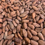 Ecuador - El Limon - 2020 - UTZ