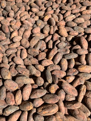 Peru Awajún Direct Trade Organic 2024  - Image 3