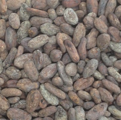 Dominican Republic Zorzal Direct trade Organic 2021 - Image 1