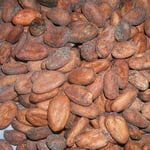 Costa Rica, Upala '10 FT/Org