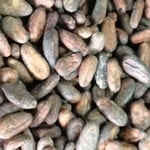 Dominican Republic Rizek FT/Organic  2017