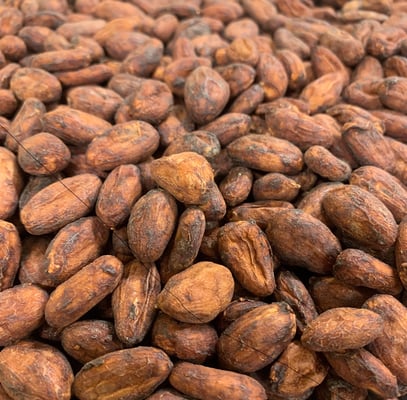 Mexico Almendra Blanca - Direct Trade - 2022 - Image 1