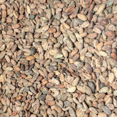 Mexico Chontalpa - Direct Trade - 2018 - Image 1