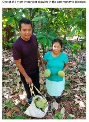 Mexican Ruby Lavados (washed / unfermented) Oaxaca 2024 - Image 1