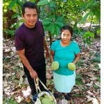 Mexican Ruby Lavados (washed / unfermented) Oaxaca 2024