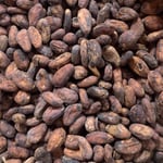 Peru Piura 2020 Organic/FT