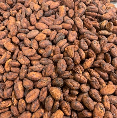 Mexico Almendra Blanca Finca Frida Direct Trade 2025 - Image 8