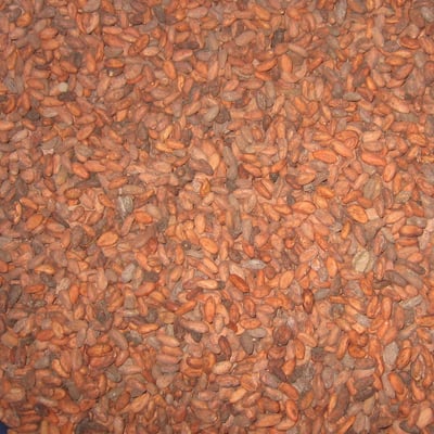 Belize Organic SS - 2012/13 - Image 1