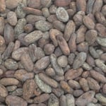 Dominican Republic Zorzal Direct trade Organic 2022 