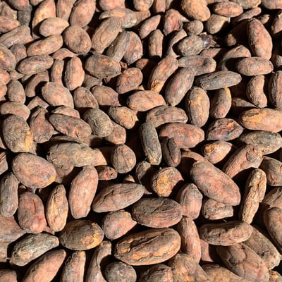 Peru Awajún Direct Trade Organic 2024  - Image 9