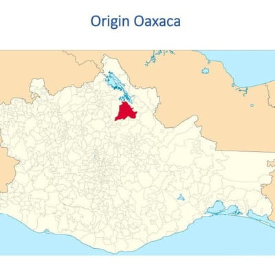 Mexican Ruby Lavados (washed / unfermented) Oaxaca 2024 - Image 6