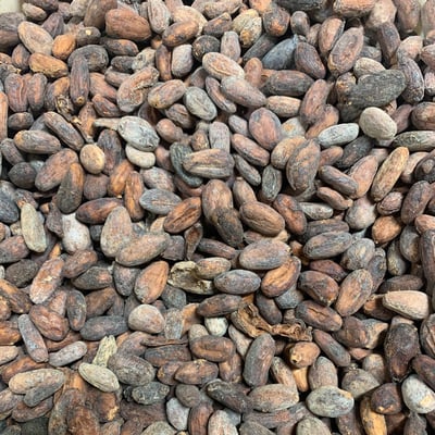 Bolivia Wild Harvest Itenez Direct Trade 2021 - Image 2