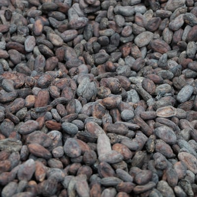 Vietnam Ben Tre 2018 Direct Trade - Image 1