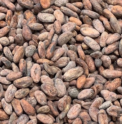 Guatemala - Monte Grande  - 2018 - Image 1