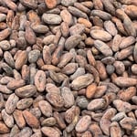 Guatemala - Monte Grande  - 2018