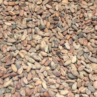 Mexico Almendra Blanca - Direct Trade - 2018 - Image 1