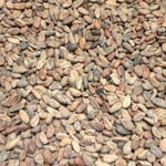 Mexico Almendra Blanca - Direct Trade - 2018