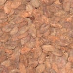 Guatamalan 2010/11 - Roasted