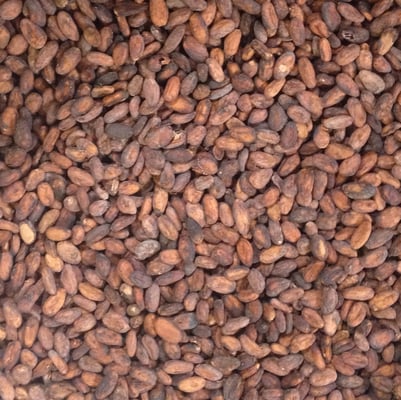 India 2019 Idukki Hills Organic - Image 2