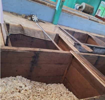 Mexico Rio Samaria Cunduacán Direct Trade 2024 - Image 5