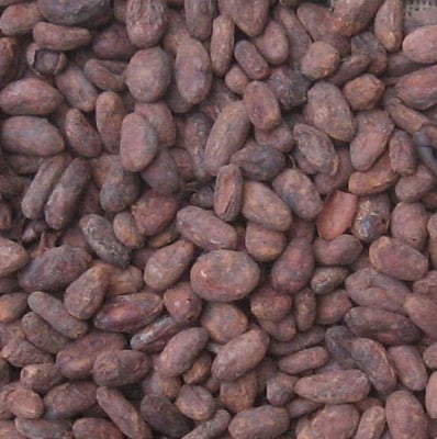 Haiti - Nord 2018 - Image 1