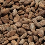 Ecuador 2019 Organic Sofia