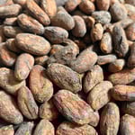 Belize Organic - 2022