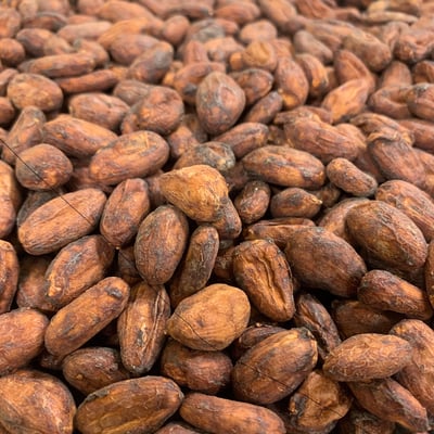 Mexico Almendra Blanca Finca Frida Direct Trade 2025 - Image 18