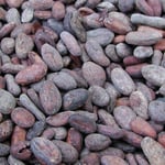 Venezuelan Canoabo - 2016