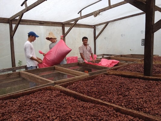 Nicaragua Bisiesto Criollo 2022 - Image 3