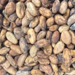 Brazil Lajedo do Ouro Farmgate 2019