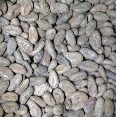 Honduras Wampusirpi 2018 Direct Trade - Image 1