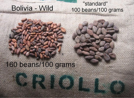 Bolivia - Wild Organic 2011/12 - Image 1