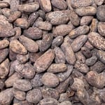 Haiti - PISA 2019 Organic