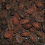 Peru Cocoa FT/Org- '09