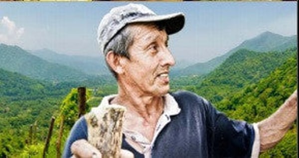 Venezuelan Patanemo "Donaldo" - 2013 - Image 2