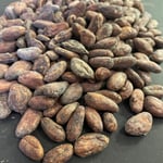 Colombia - Arauca 2022 Direct Trade